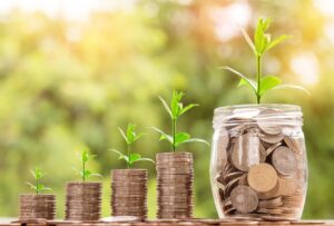 おせち通販で早割のあわび入りは価値ある選択肢ですか？